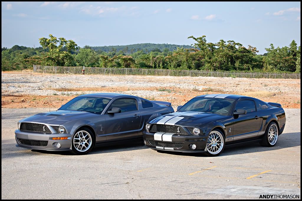 Mustangshoot38.jpg