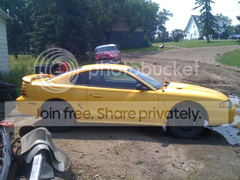 95stang1.jpg