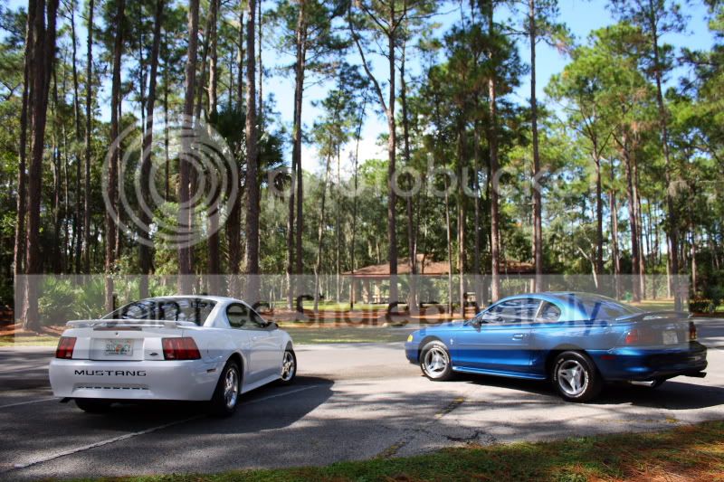 IMG_1008smaller.jpg