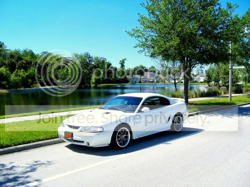 Cobra_Shoot4-6-11009.jpg