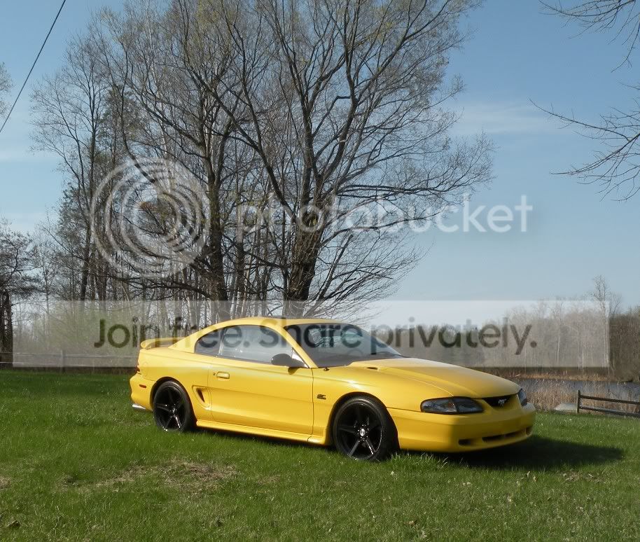 MustangAlbum2.jpg