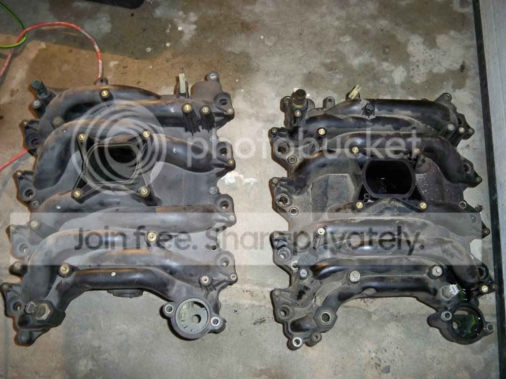 piintake2_zpsb75cc2ff.jpg