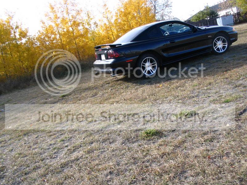 Lowered012.jpg