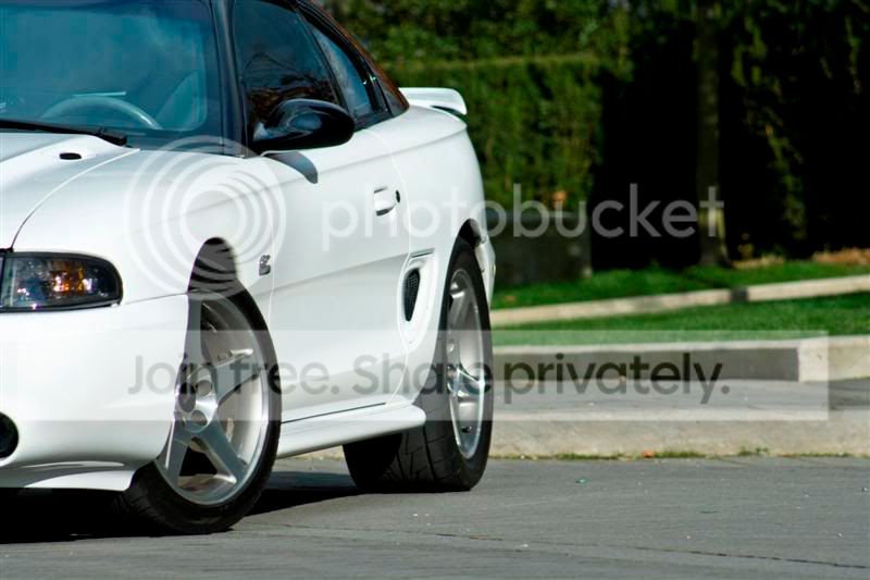 IMG_2151Medium.jpg
