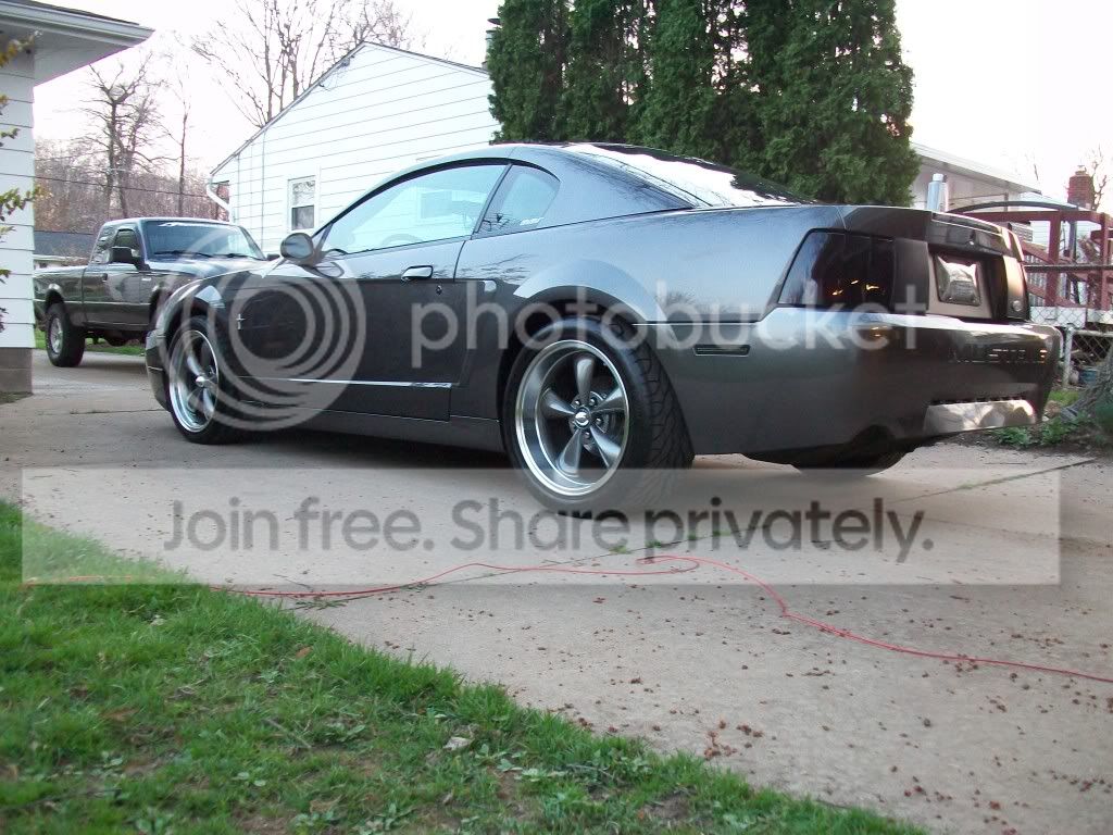 Mustang2012004.jpg