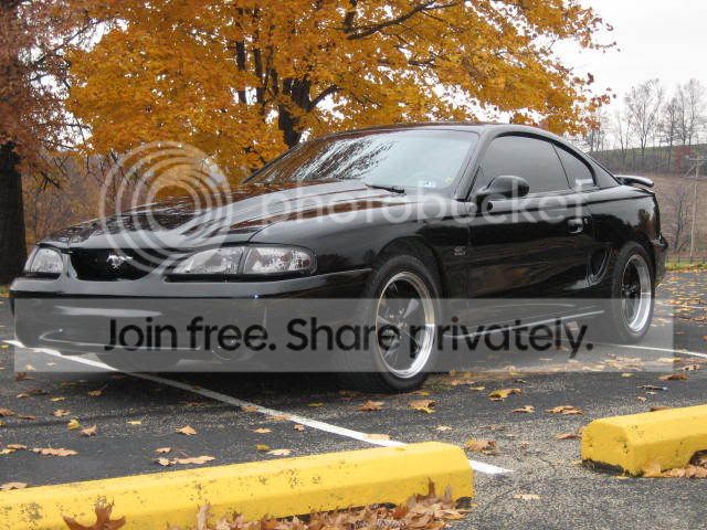 Picture024.jpg