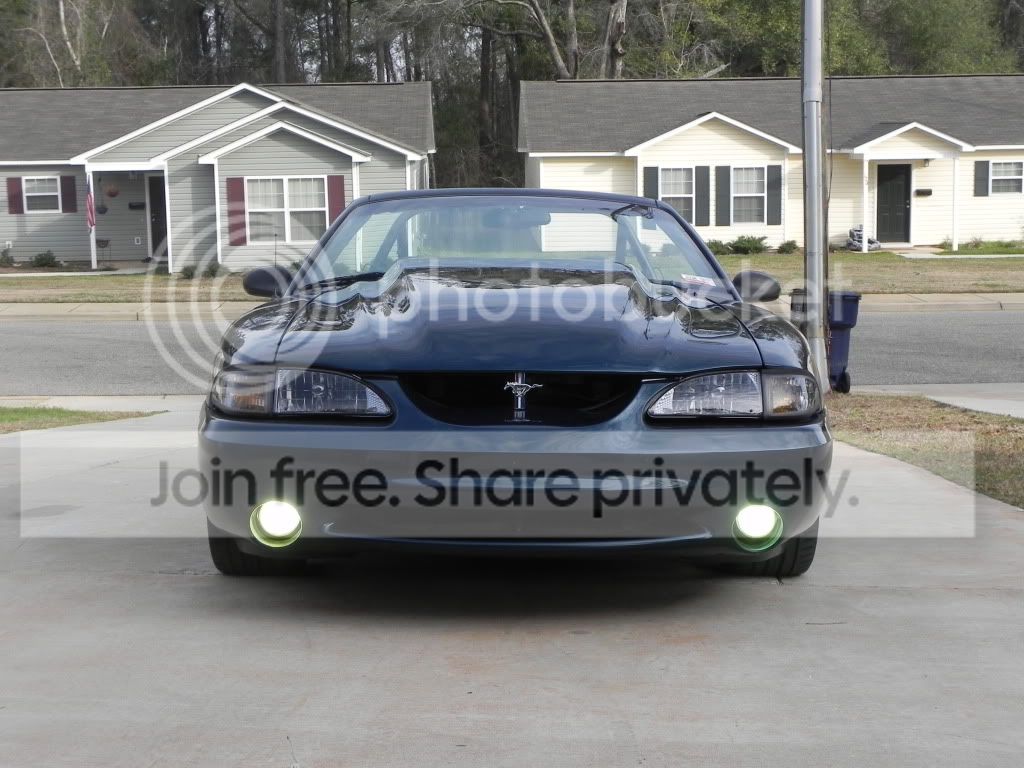 Mustang2-9-12002.jpg