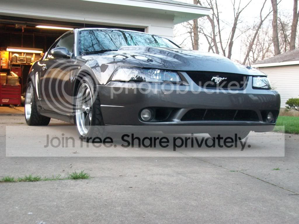 Mustang2012006.jpg