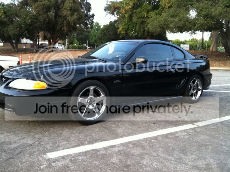 Mustangs114.jpg