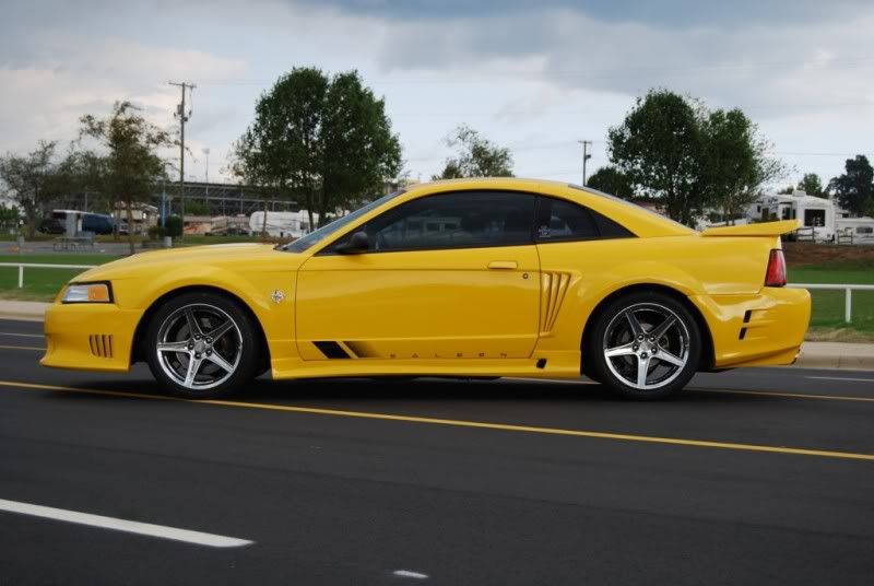 993513.jpg