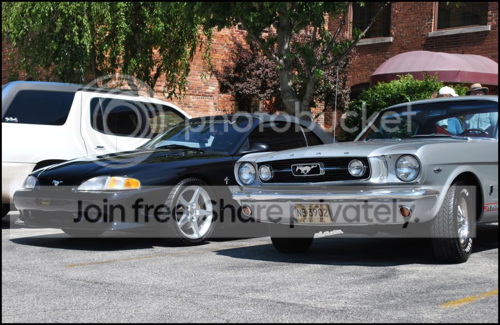 DSC_1248.jpg