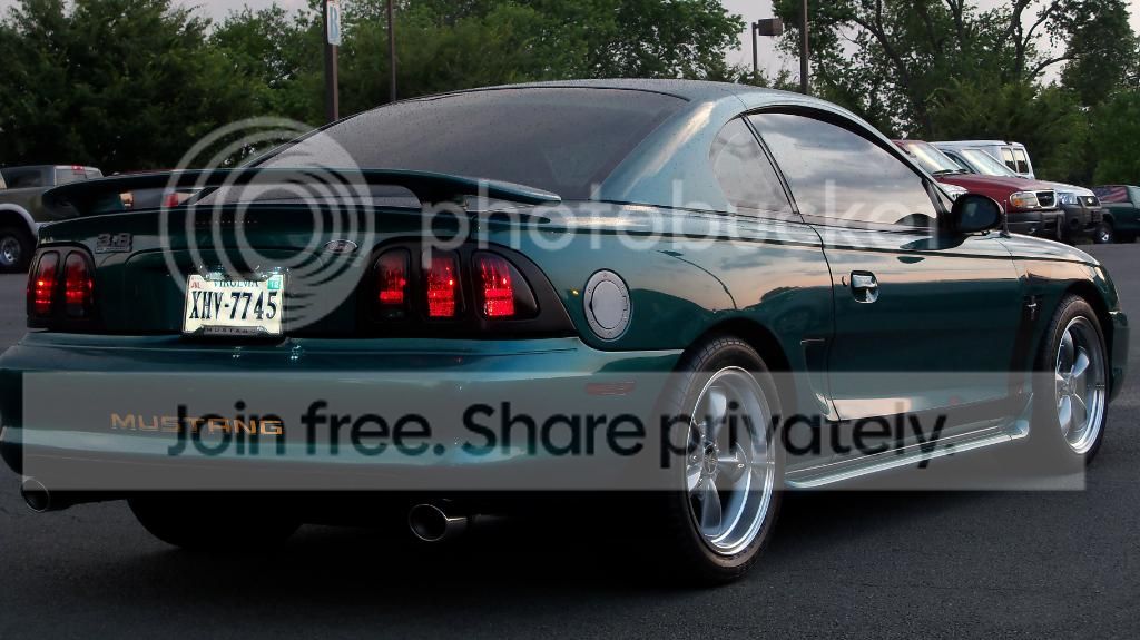 Stang068.jpg