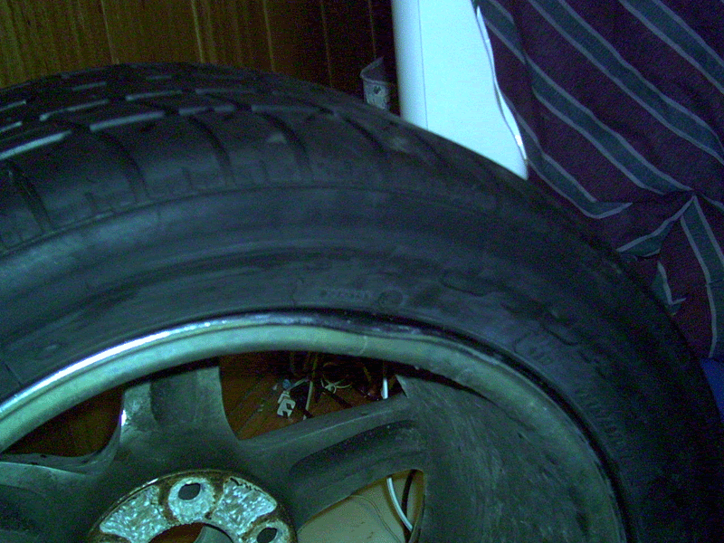 PICT0028.gif