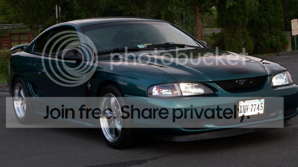 Stang069.jpg