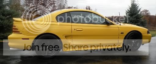 mustangsideviewloweredsmaller.jpg