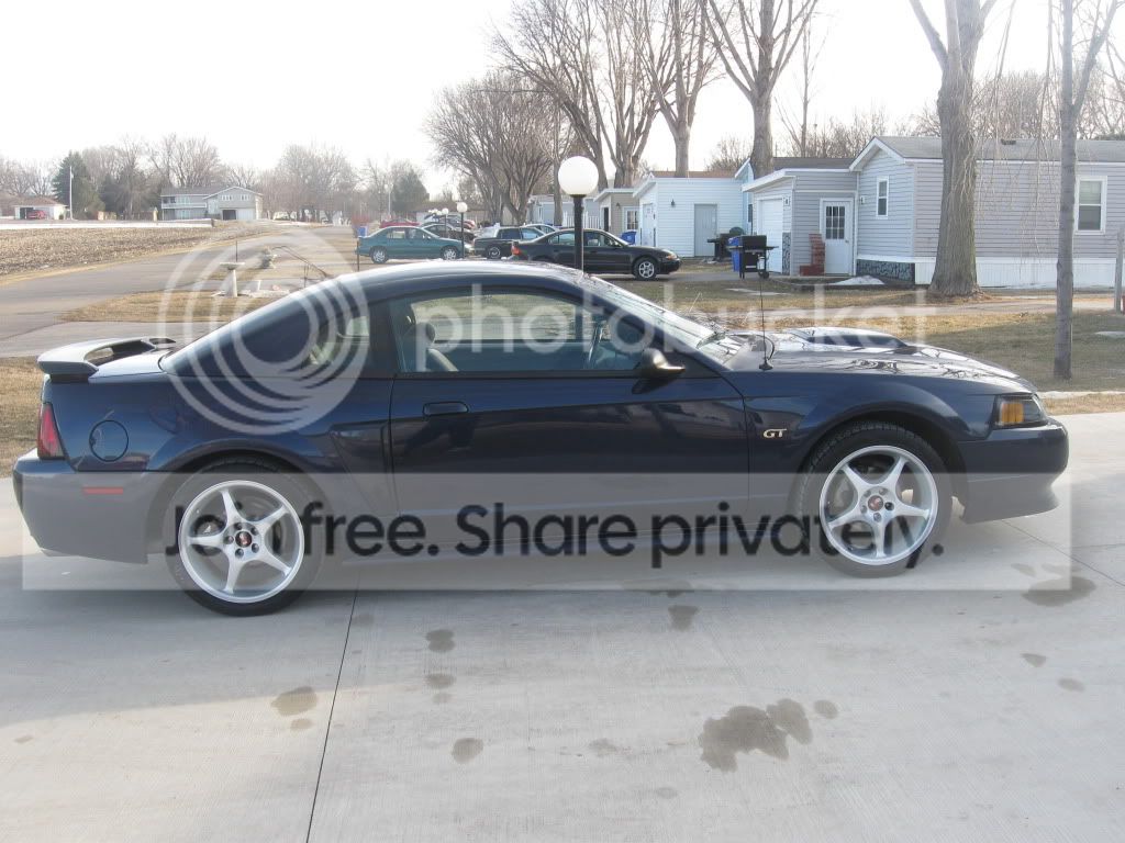mustang005.jpg
