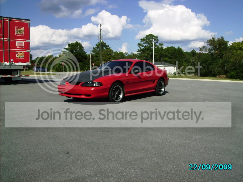 wingless3053.jpg