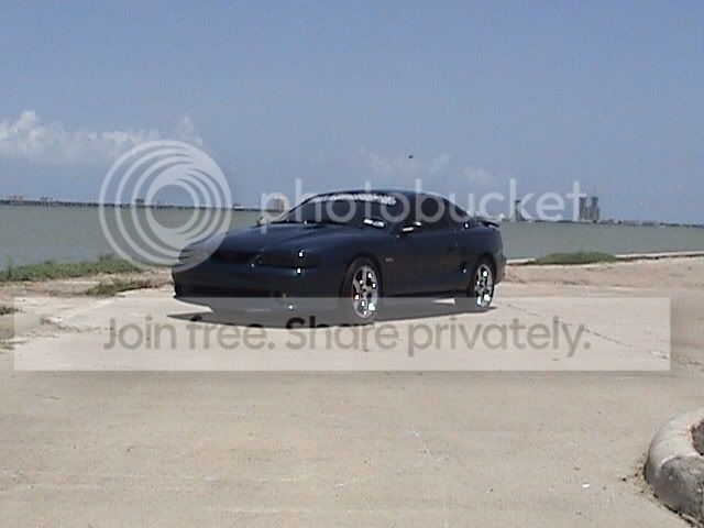 DSC00020.jpg