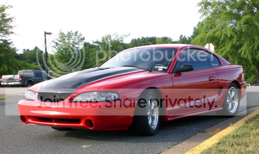Stang9.jpg