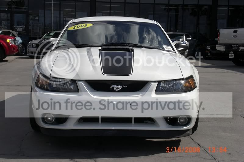 mustang059.jpg