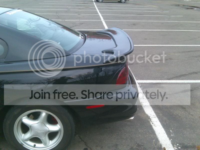 mustang3.jpg