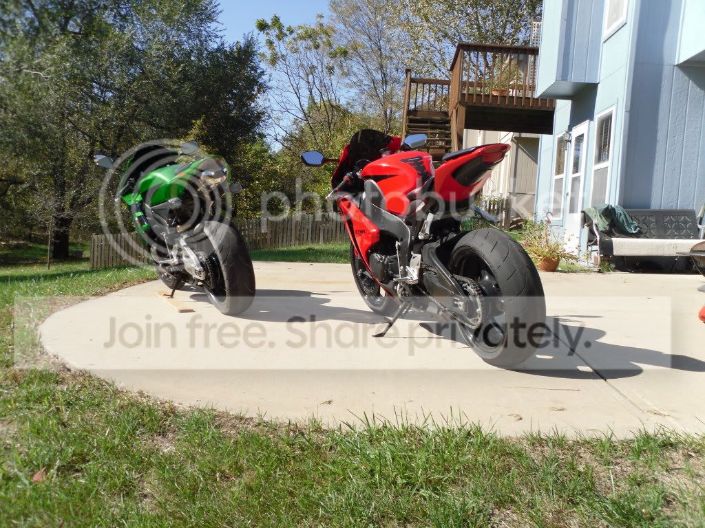 SDC10394.jpg