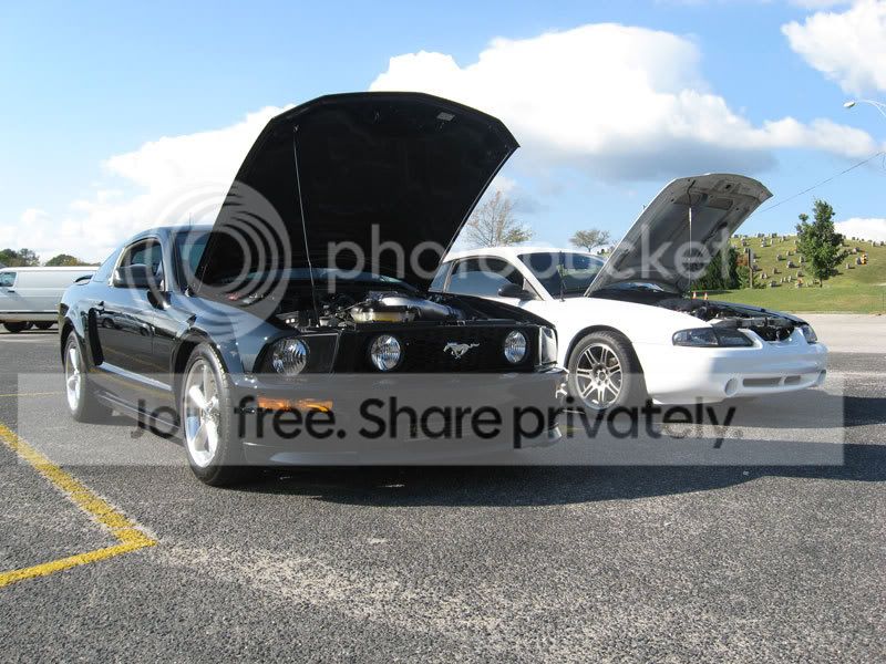 carshow5.jpg