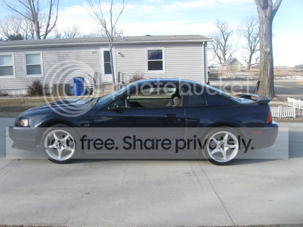 mustang003.jpg