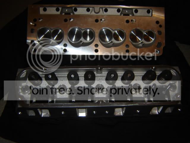 NewHeads008.jpg