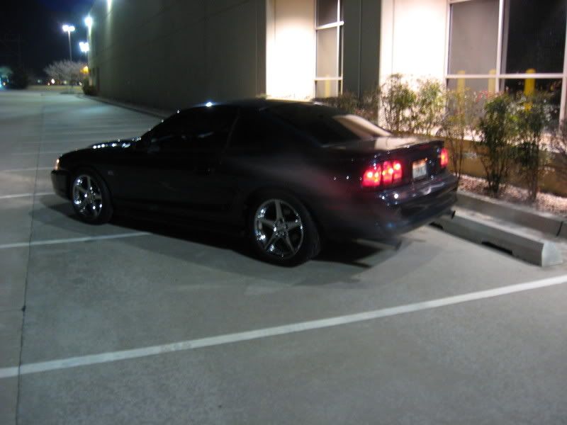 nitepics2009-1.jpg