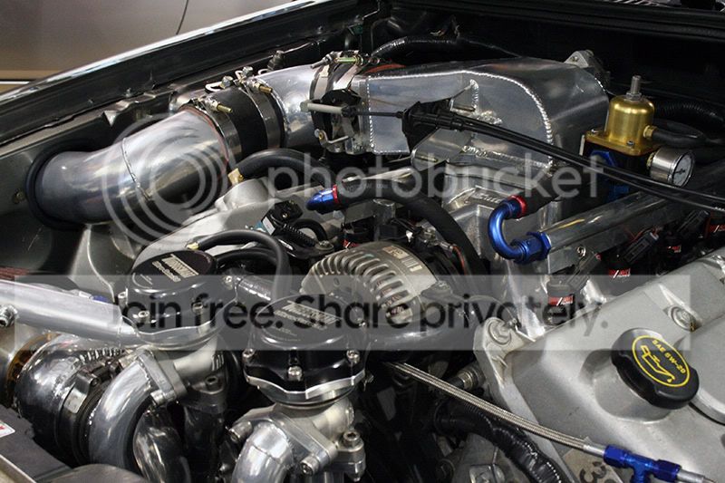 03cobra2.jpg