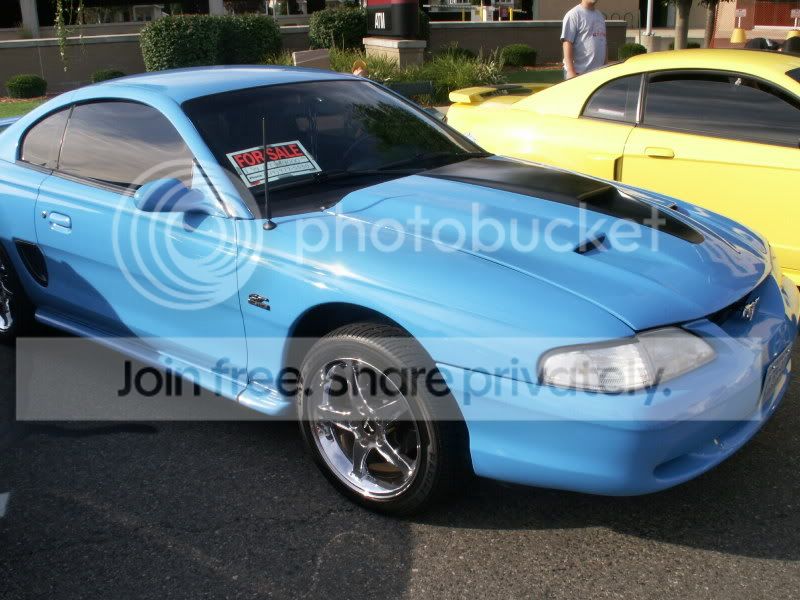 Mustangs026.jpg