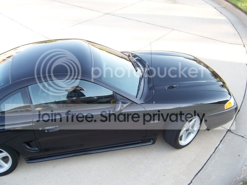 STANG004-1.jpg