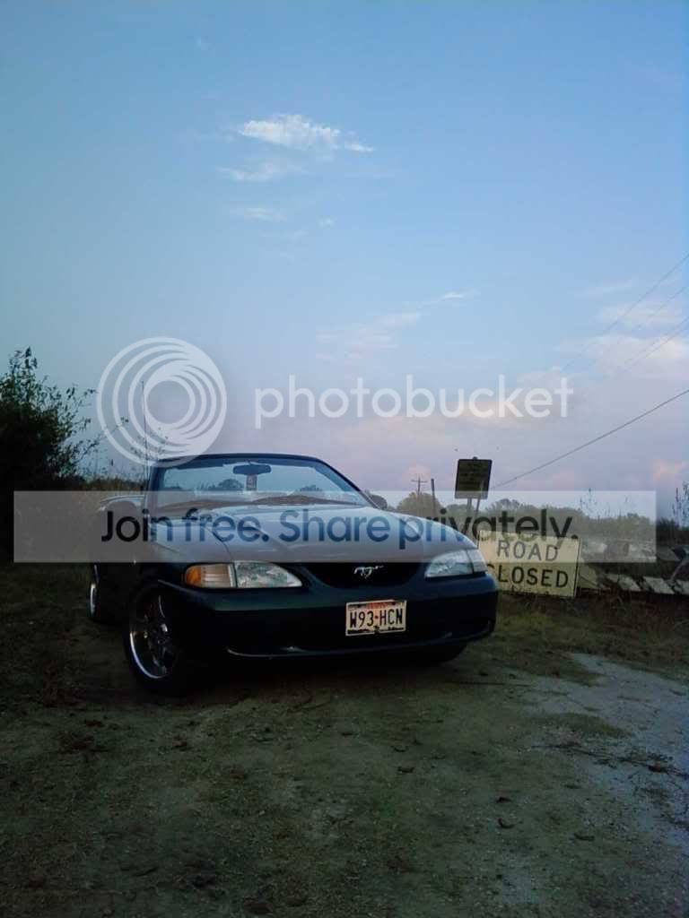 mystang9.jpg
