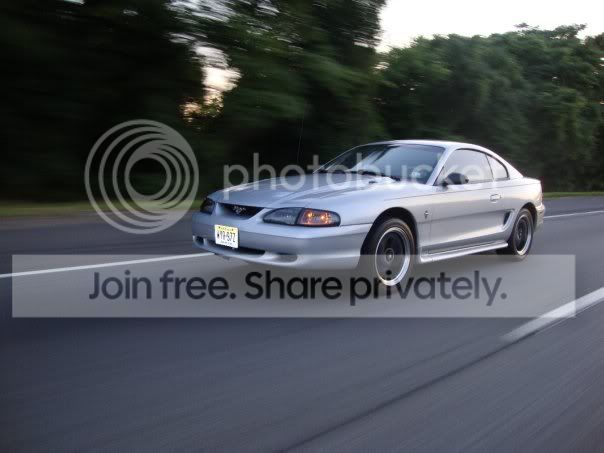 rollin2.jpg