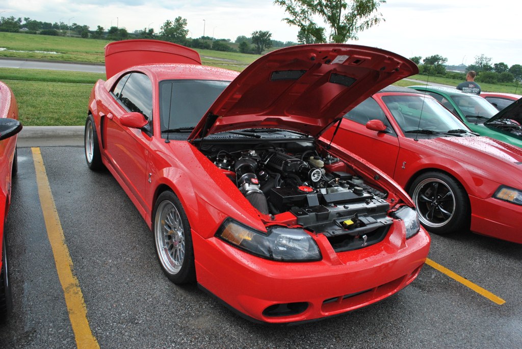 7387689488_307cf34e97_b.jpg