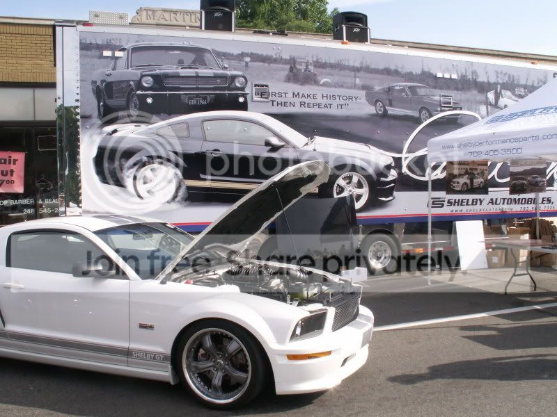 Mustangs068.jpg