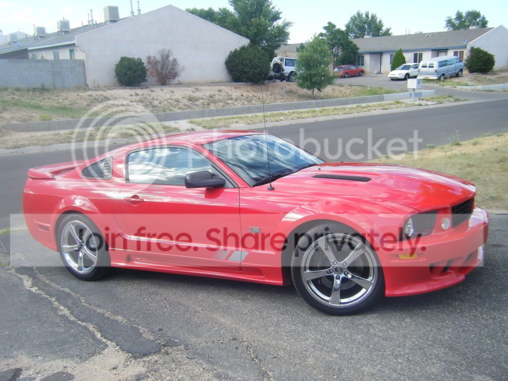 saleen.jpg