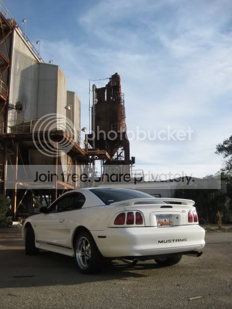 mustang_3.jpg