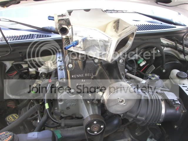 maypics010.jpg