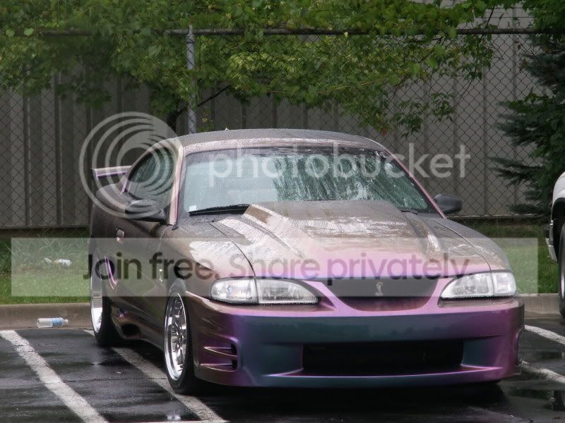Mustangs193.jpg