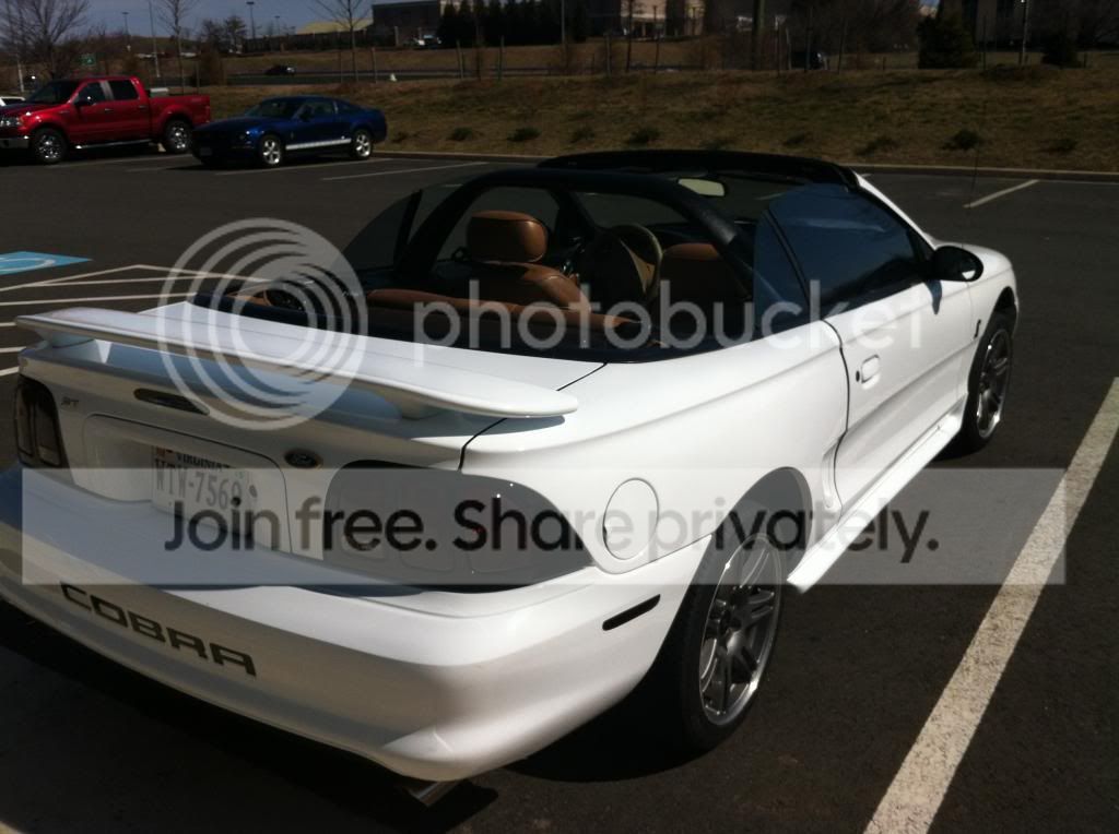 photo13_zps2c41db3b.jpg