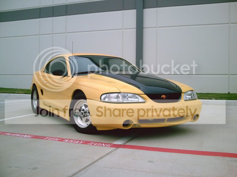 nanner.jpg