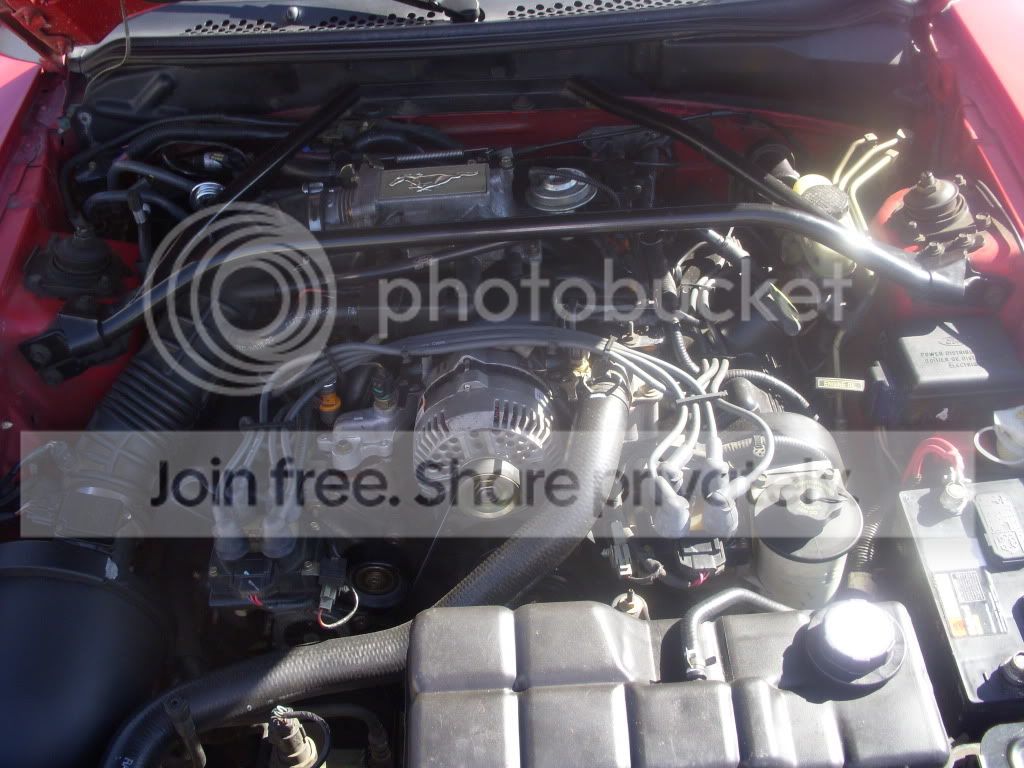 DSCN1037.jpg