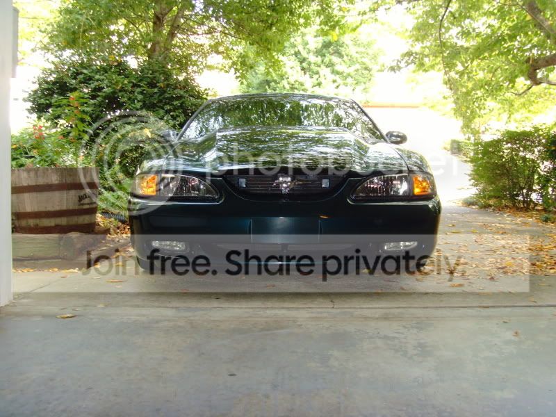 SNV30126.jpg