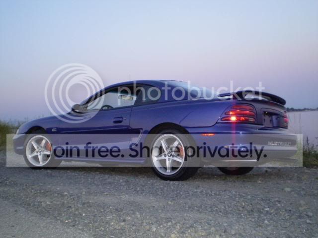 stang5.jpg