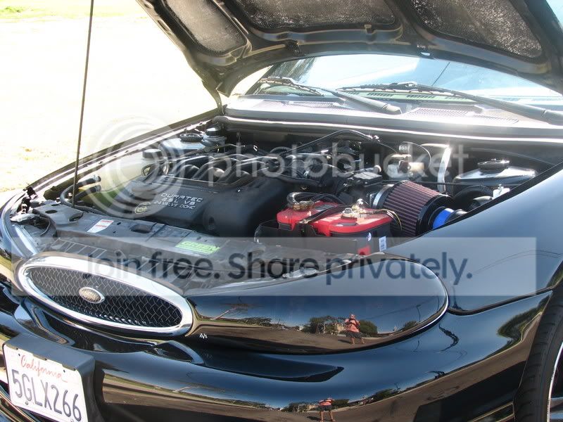 Picture016.jpg