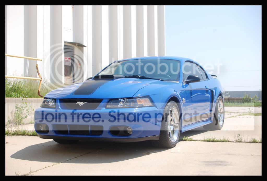 DSC_0323GOOD.jpg