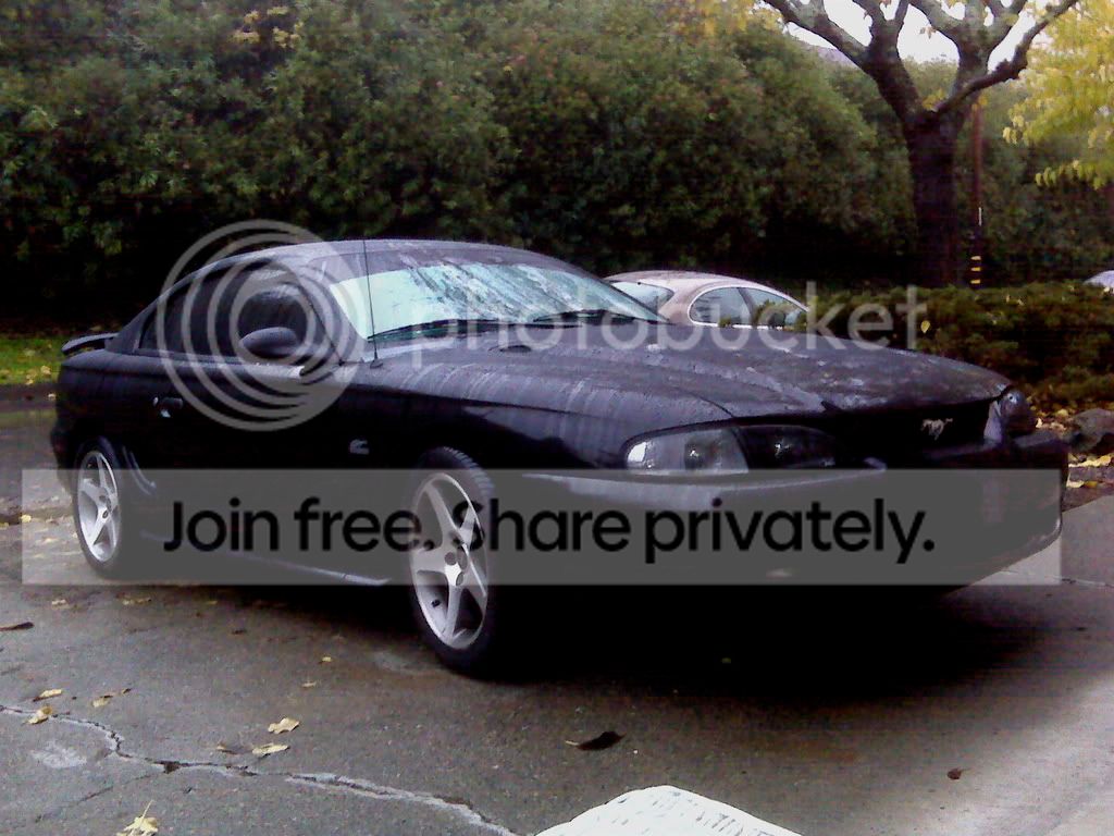 IMG00020.jpg