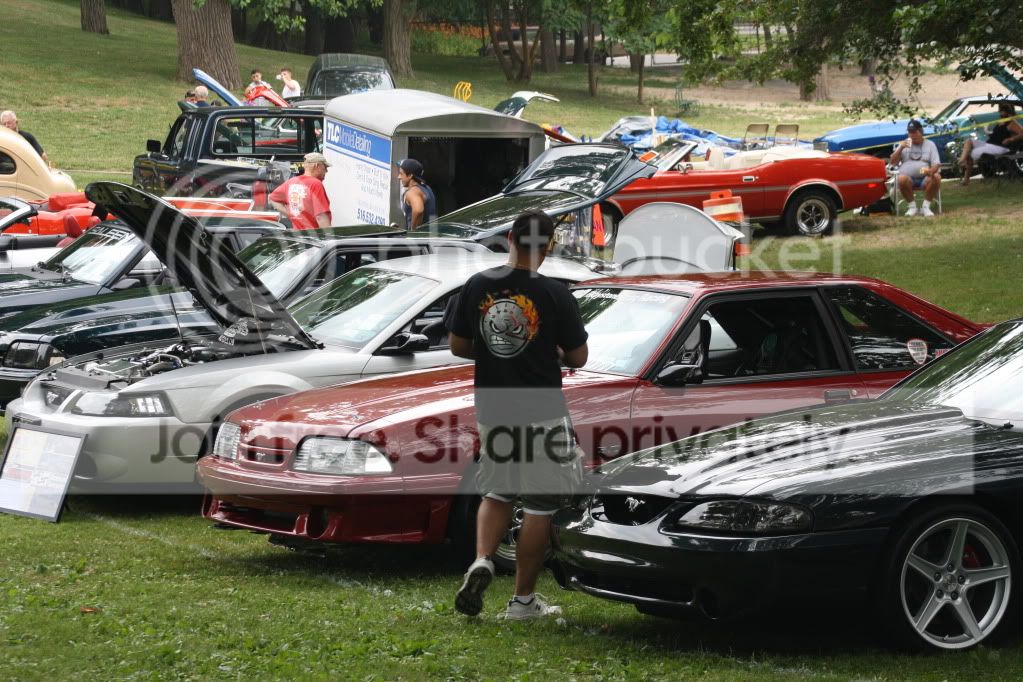 Picture017.jpg